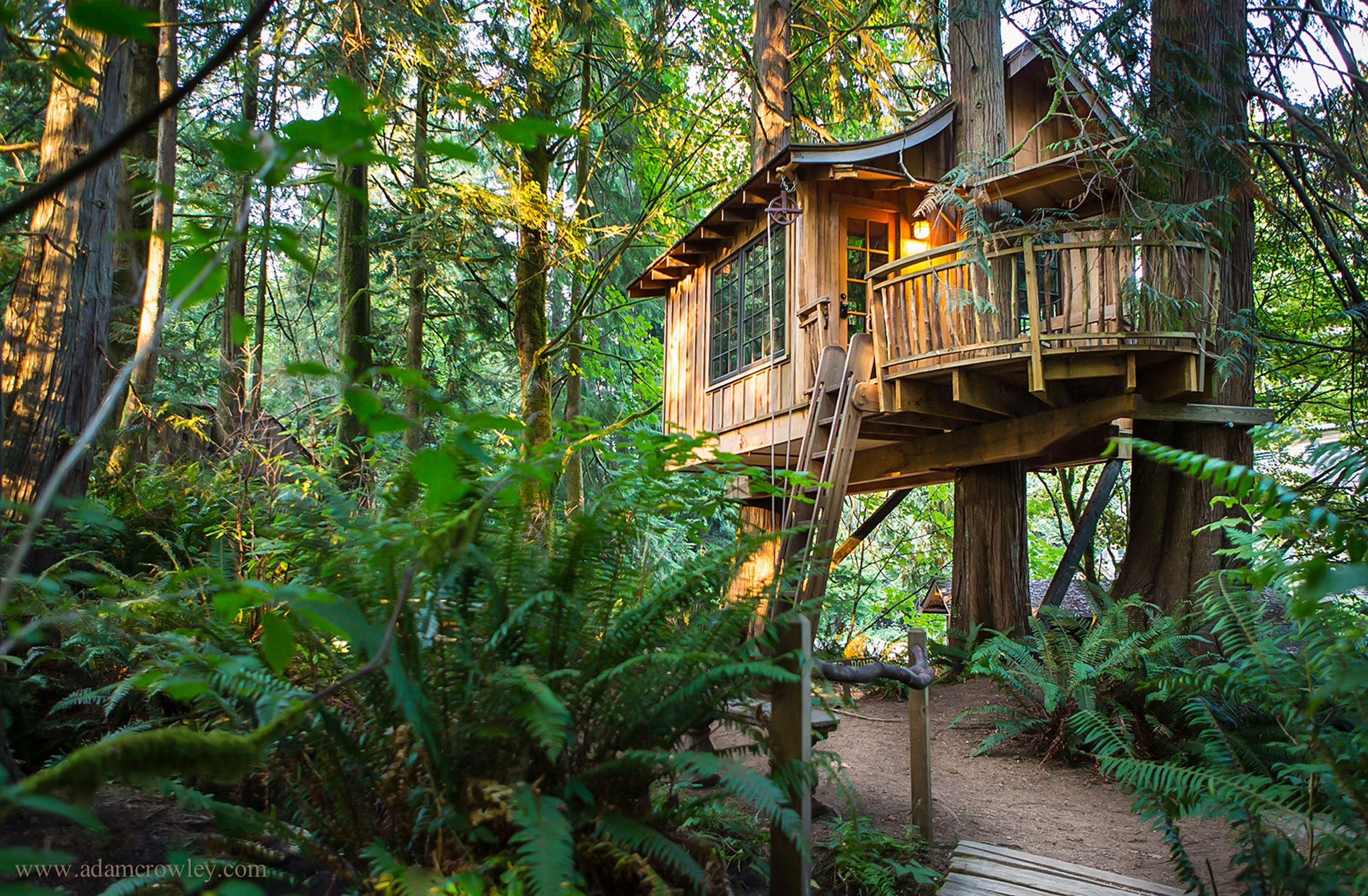 The Treehouses Of Western Washington Seattle Weekly