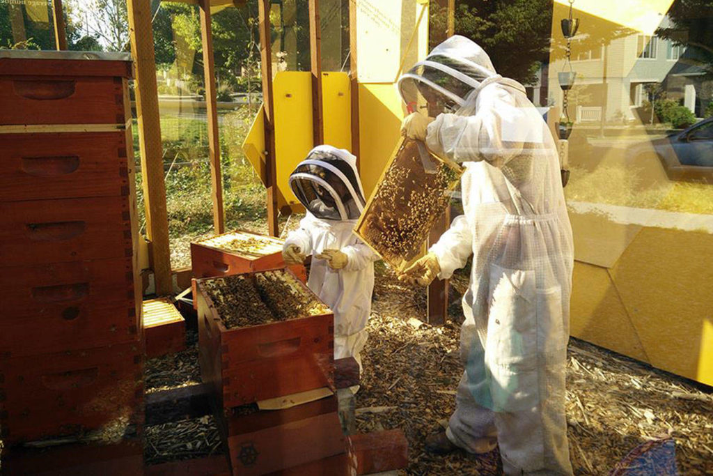 The Buzz About West Seattle Bee Festival Seattle Weekly