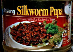 Do I Taste Worse Than Jin Yang Silkworm Pupa?