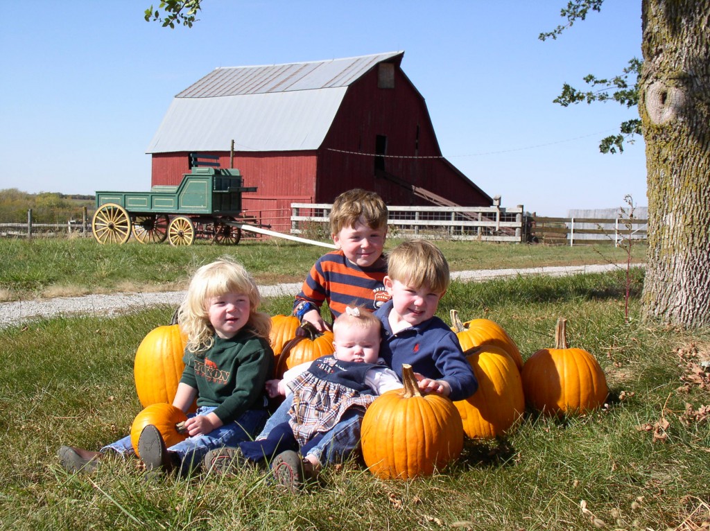 Harvest Celebration Farm Tour