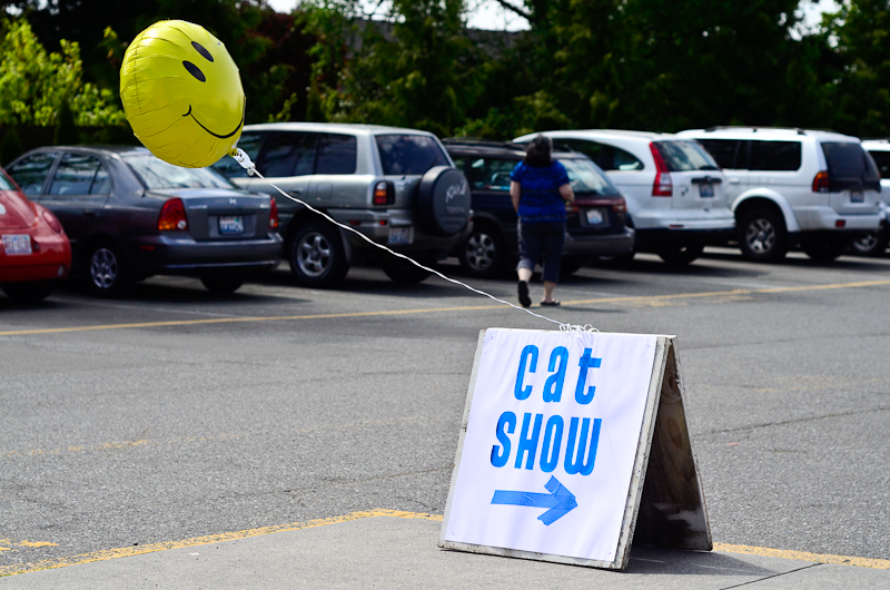 Anything but average, the 8th annual cat show put on by Purrfect