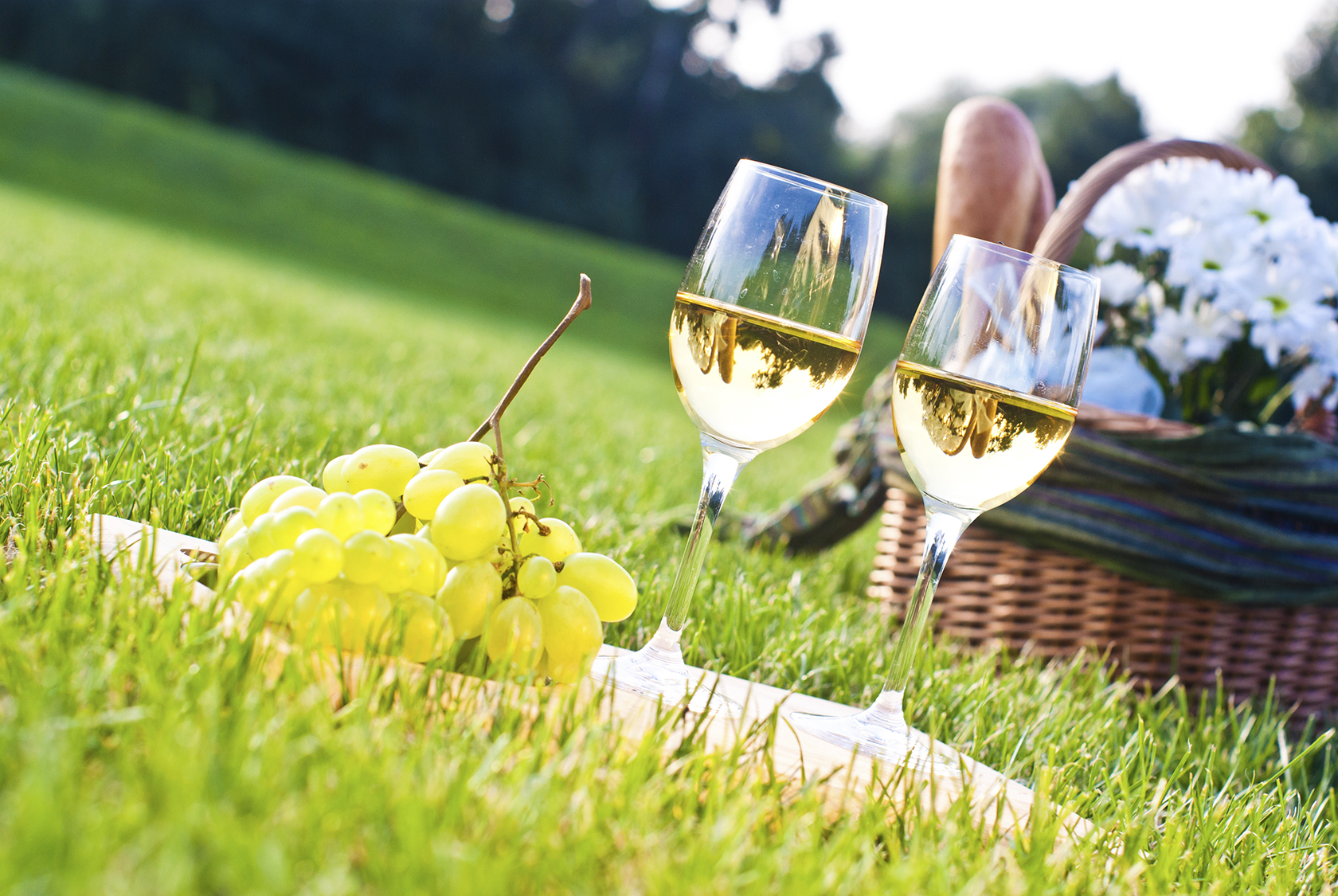 white wine with grapes on the picnic