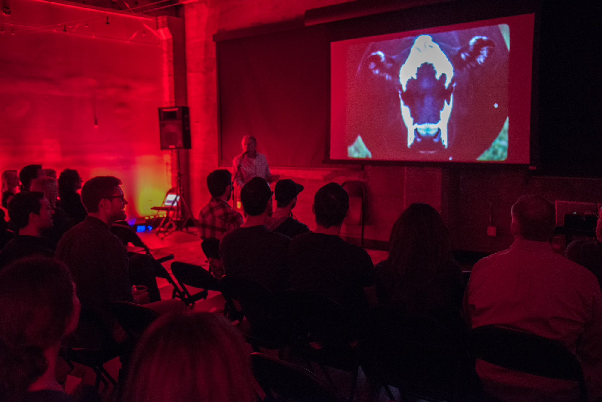 Diltz starts us off slow with a few nature photos, joking about the Rorschach look to this cows noggin.