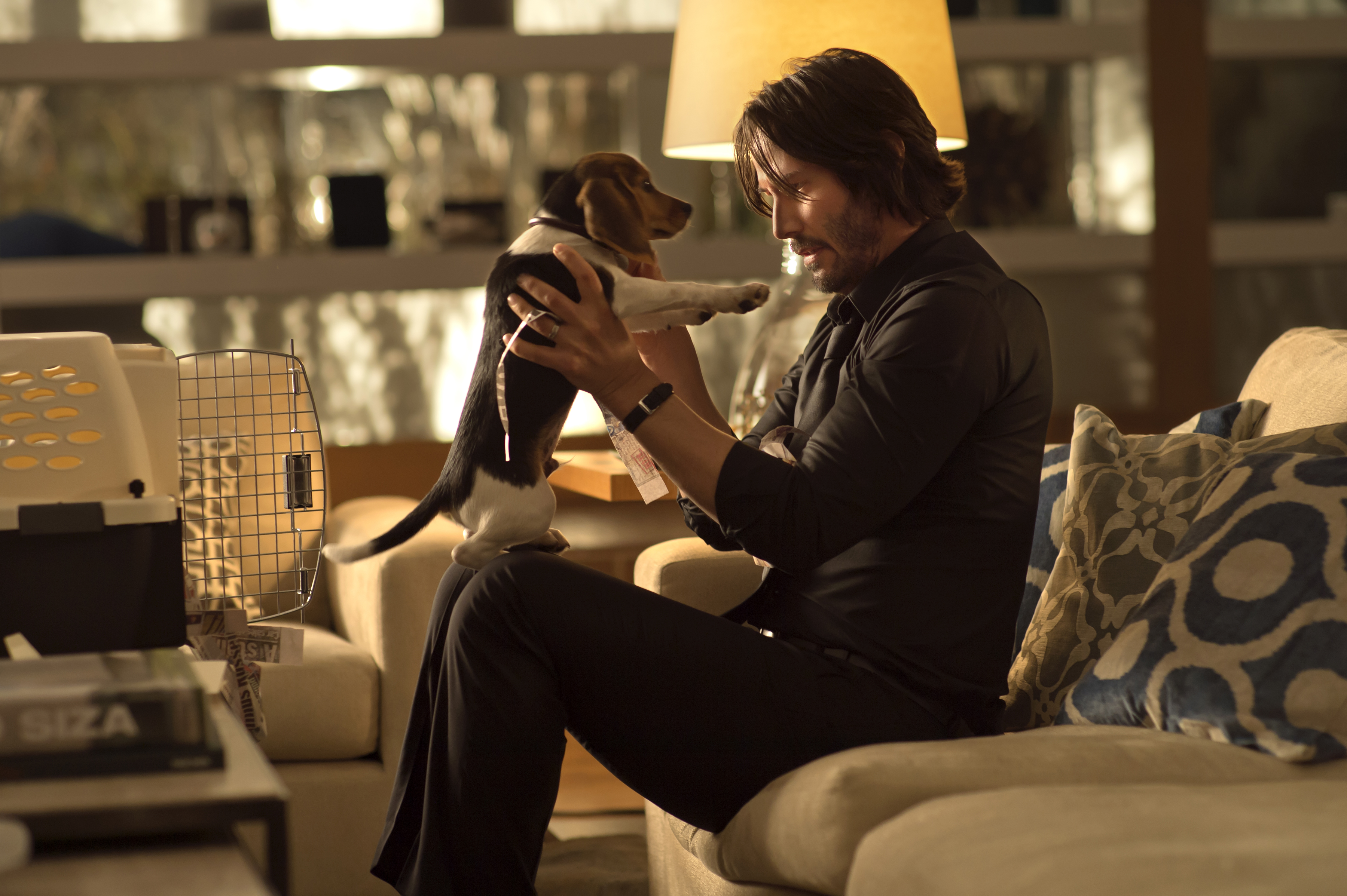 Dear God, no! Not the puppy! David Lee/Lionsgate