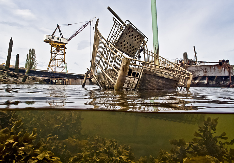 At the Burke, a scene from our slowly recovering Duwamish River.