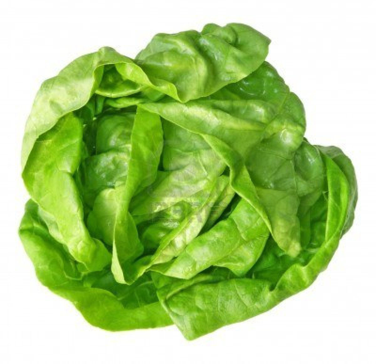 Lettuce