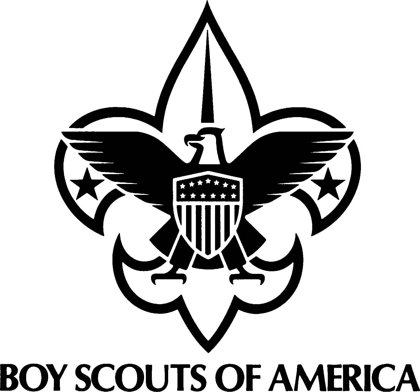 Last May, the Boy Scouts of America voted to allow gay youth