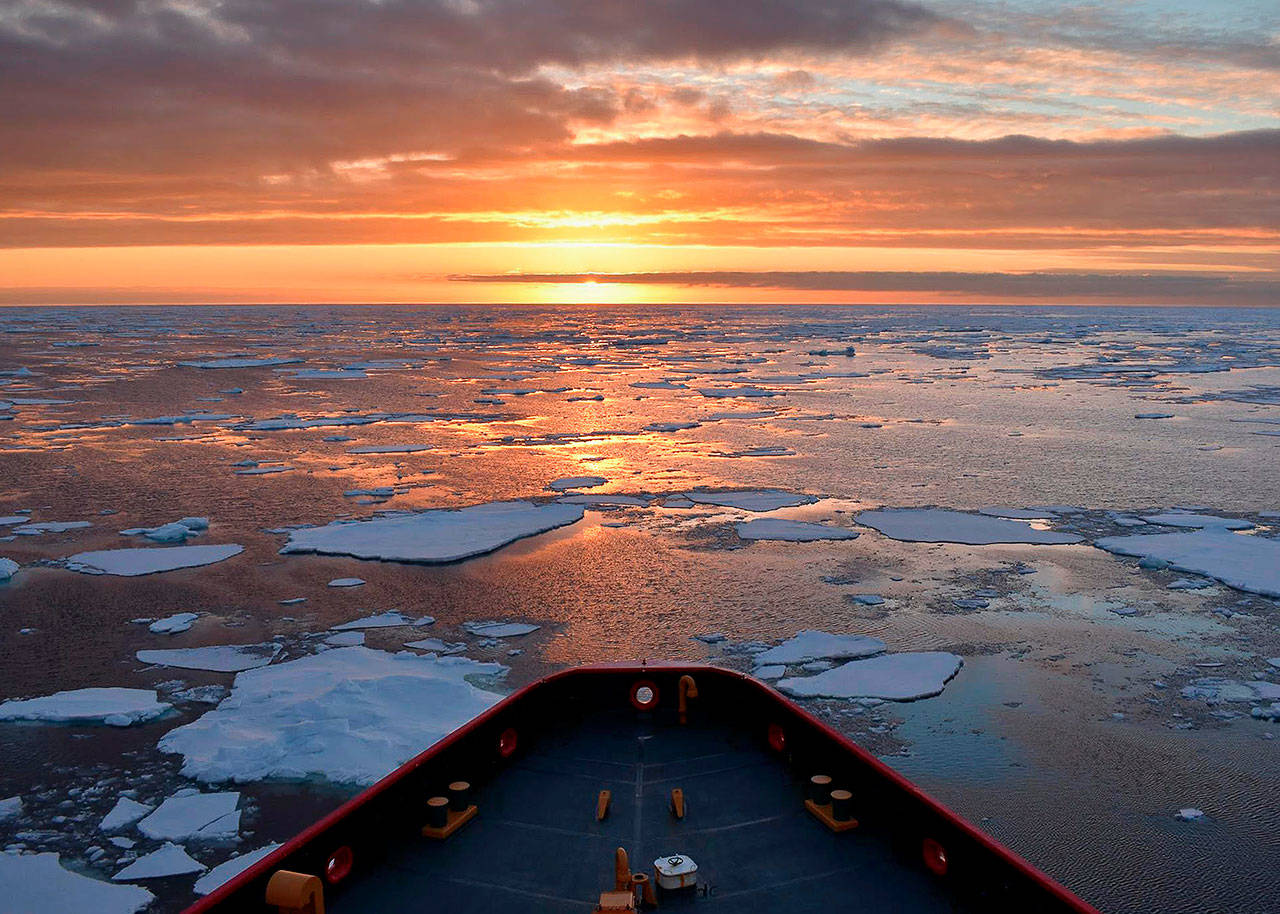 Icebreaker Andrey Vilkitsky. 12.20.2018, St. Petersburg. View