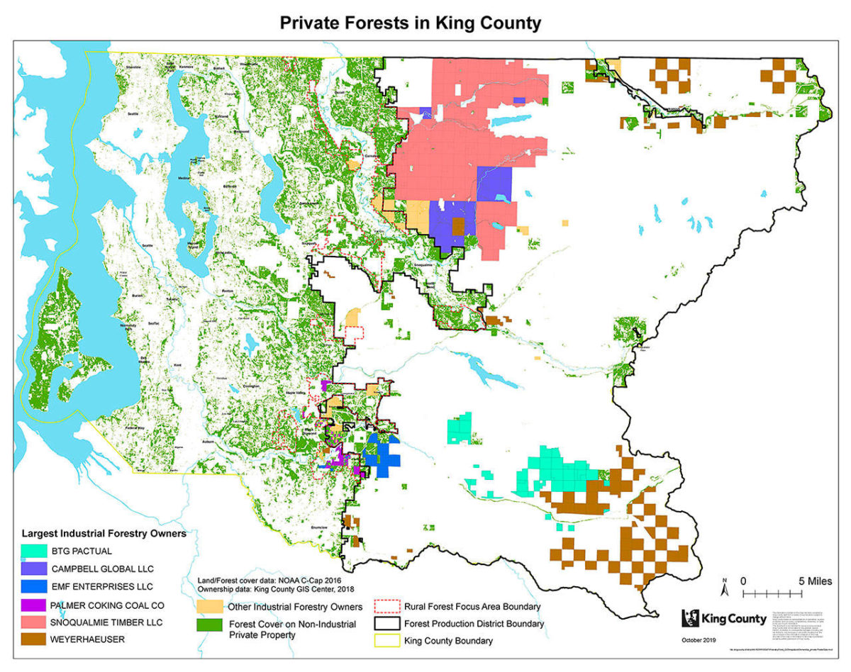 Who Owns King County Forestlands? | Seattle Weekly