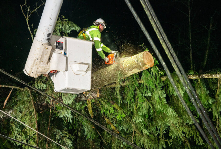 <p>A Puget Sound Energy crew member removes a tree from the wires after the Nov. 19-20 windstorm that struck Western Washington. COURTESY PHOTO, PSE</p>